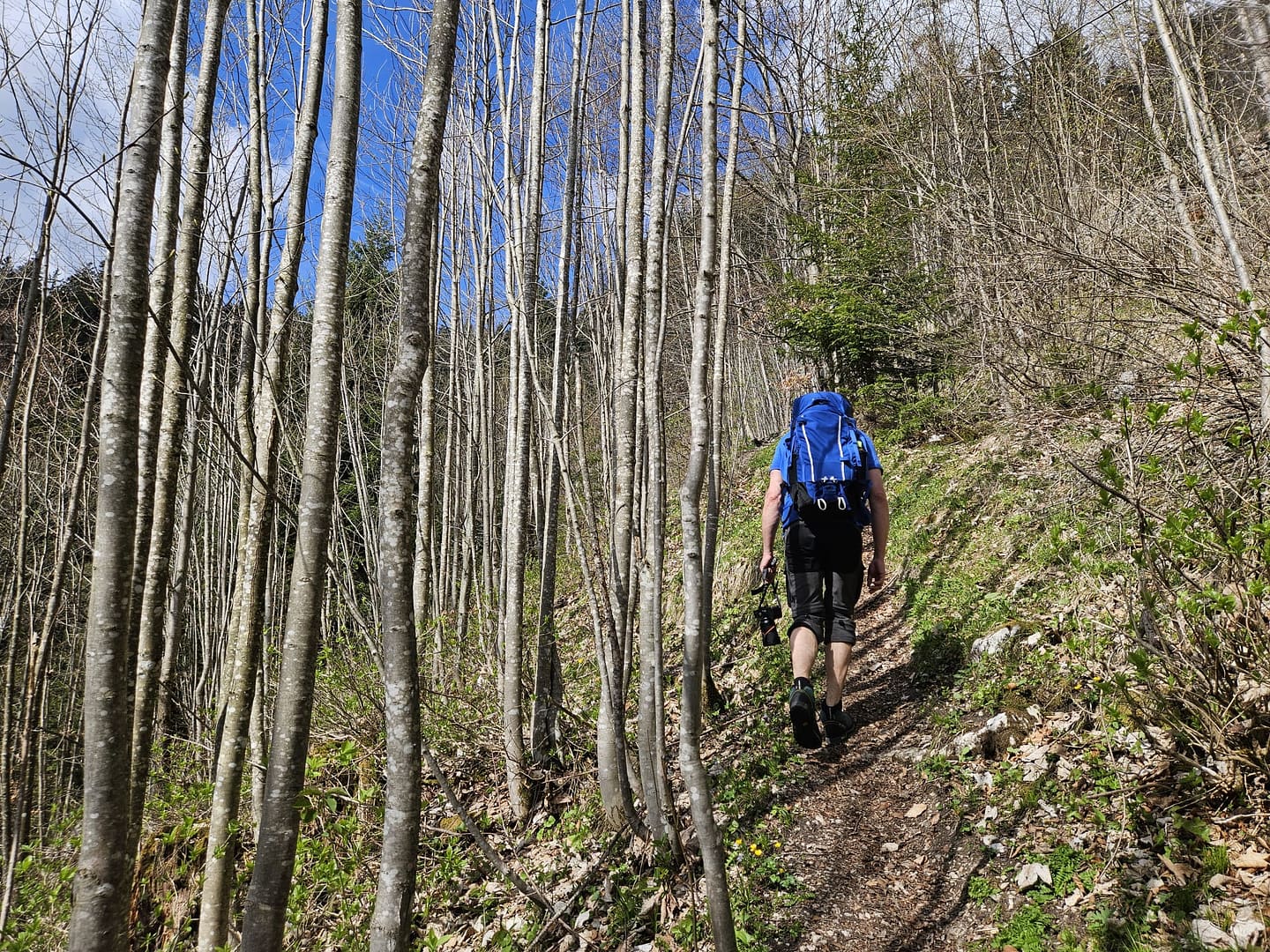 Pletzachkogel 1.544 (Wanderung) Pletzachkogel 1.544 Wanderung 13