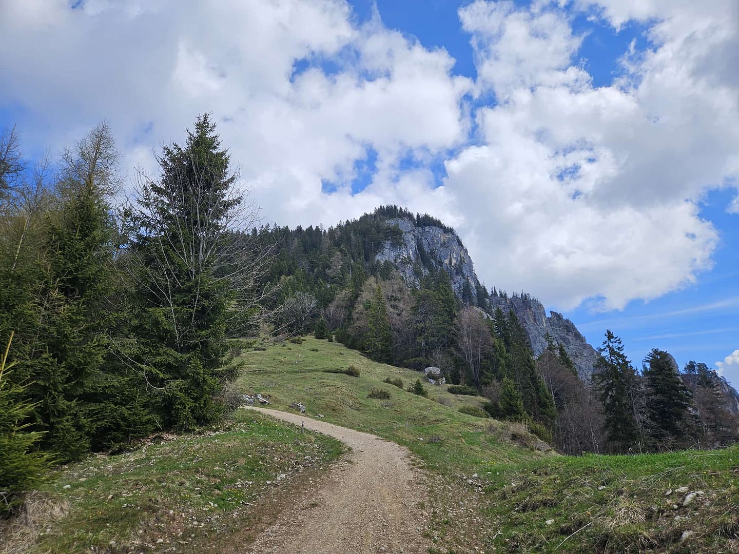 Pletzachkogel 1.544 (Wanderung) Pletzachkogel 1.544 Wanderung 14