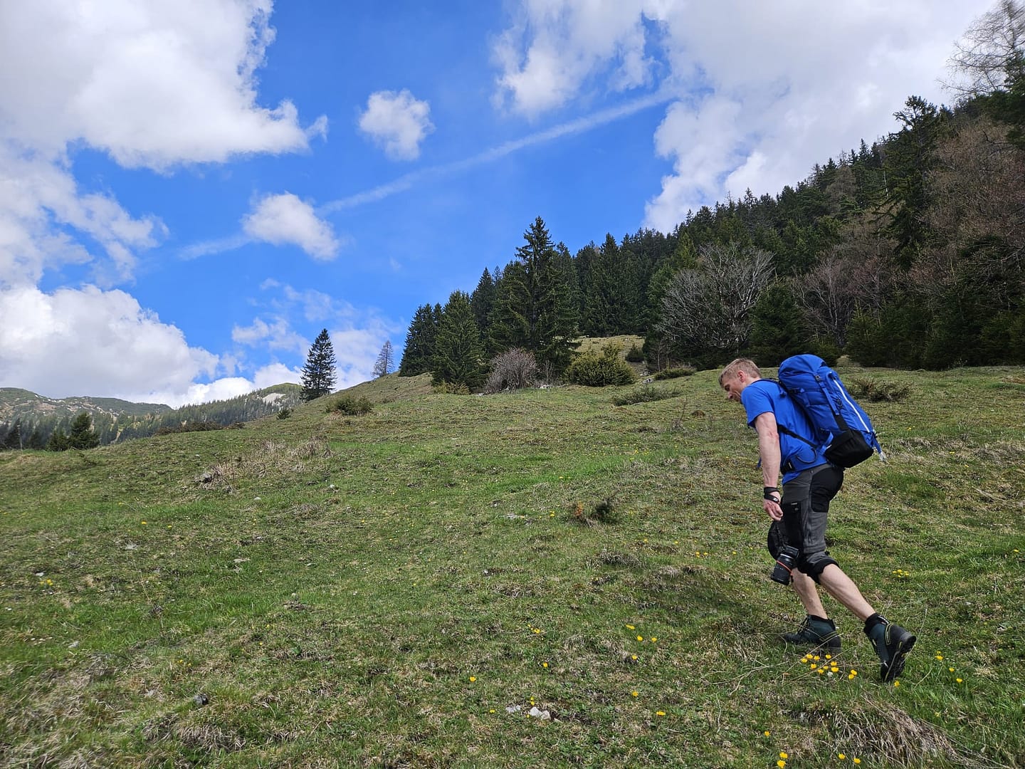 Pletzachkogel 1.544 (Wanderung) Pletzachkogel 1.544 Wanderung 15