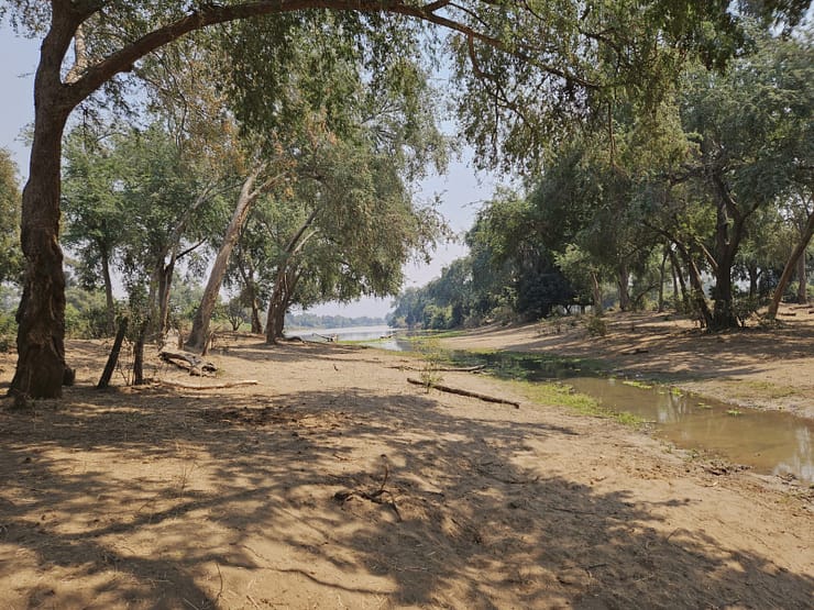 Lower Zambezi Nationalpark - Game drive Lower Zambezi Nationalpark 42 1