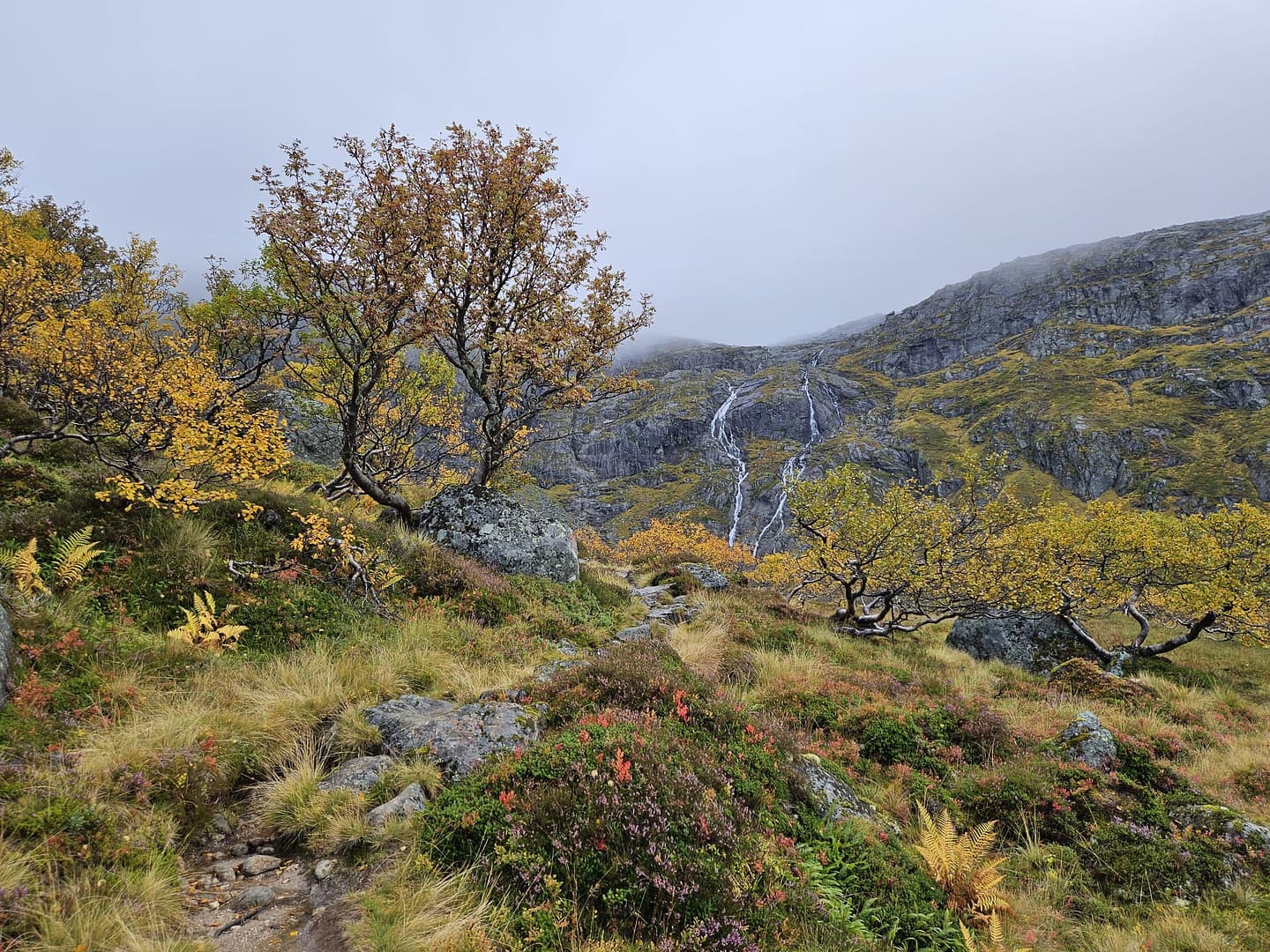 Bondhusdalen (Wanderung) WhatsApp Image 2026 10 14 at 08.46.20 5