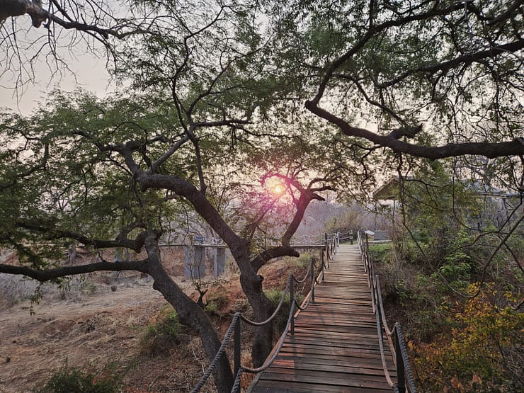 Lower Zambezi Nationalpark - Game drive Lower Zambezi Nationalpark 19 1