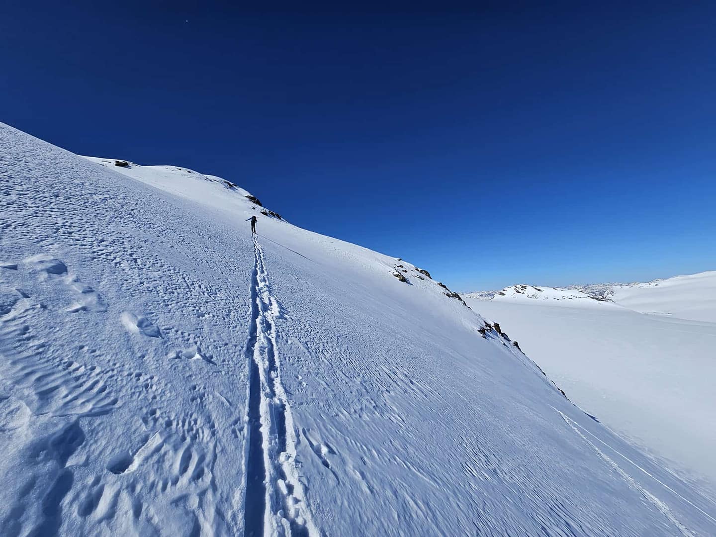 Hochvernaglwand 3.433 m & Mittlere Hintereisspitze 3.450 m (Skihochtour) Hochvernaglwand 3.433 m Mittlere Hintereisspitze 3.450 m Skihochtourbr 10
