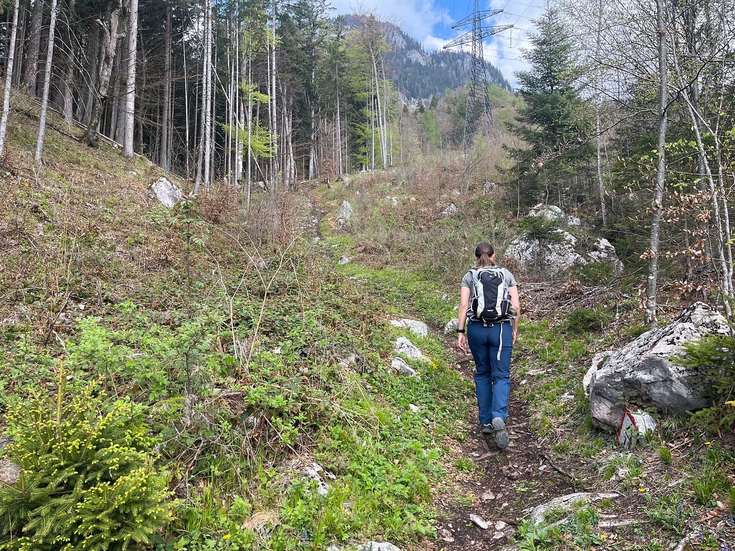 Pletzachkogel 1.544 (Wanderung) Pletzachkogel 1.544 Wanderung 7 1 scaled