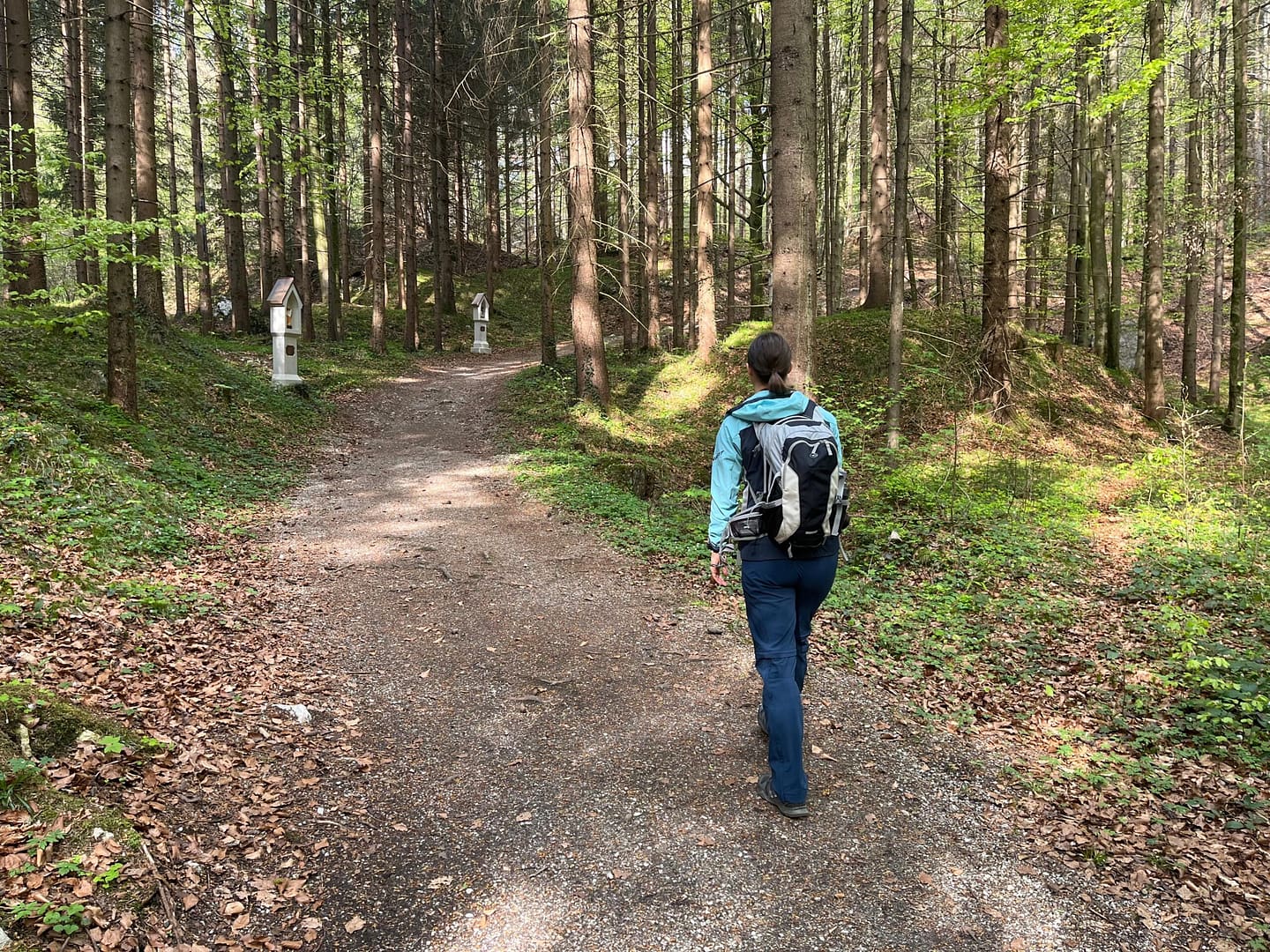 Pletzachkogel 1.544 (Wanderung) Pletzachkogel 1.544 Wanderung 8 1 scaled