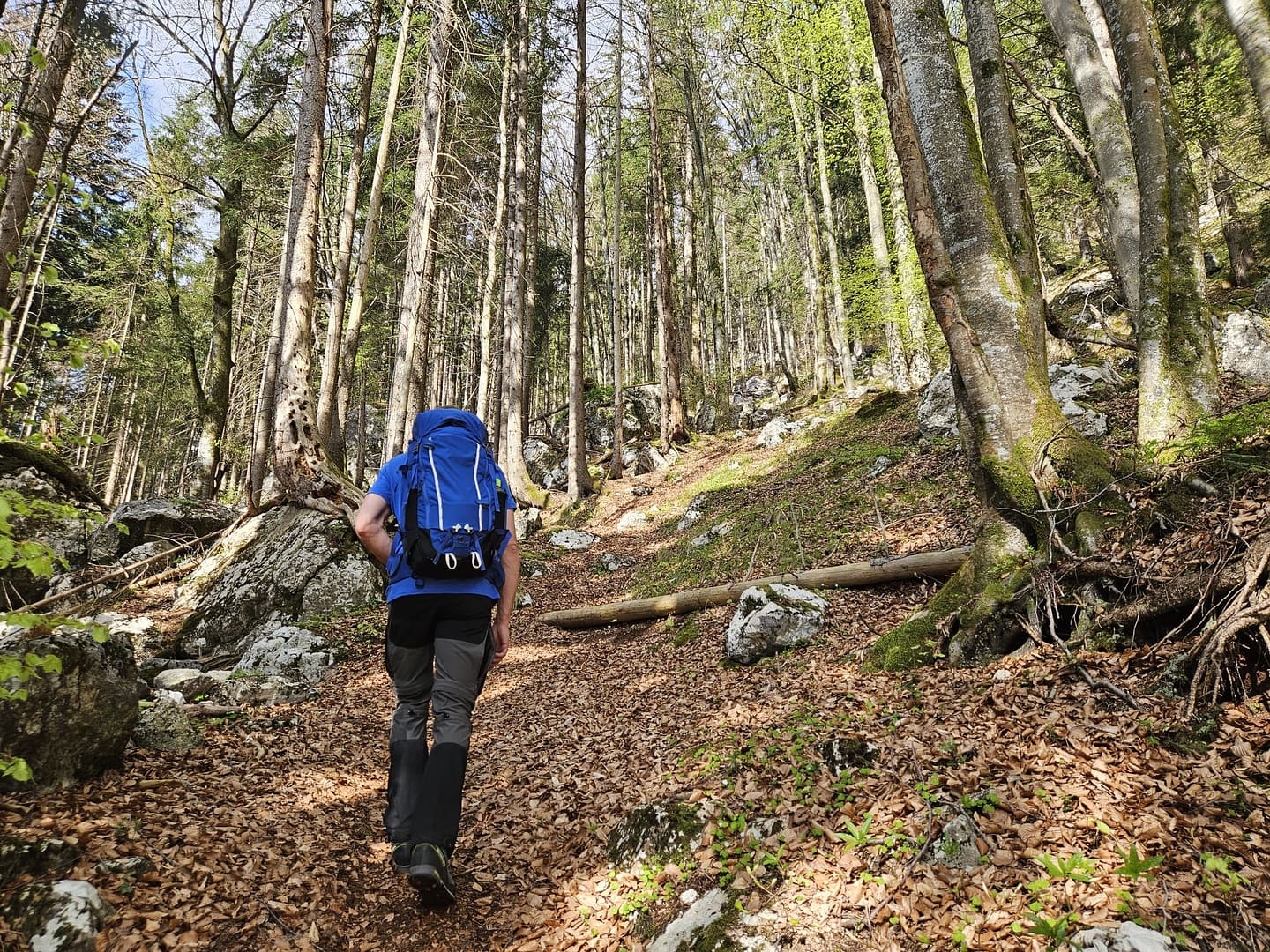 Pletzachkogel 1.544 (Wanderung) Pletzachkogel 1.544 Wanderung 1