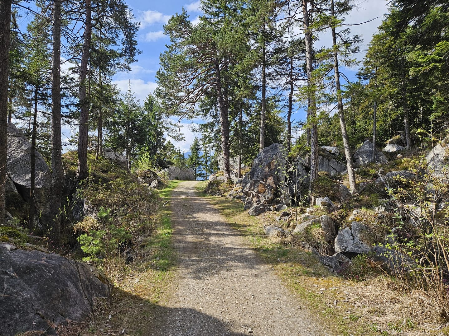 Pletzachkogel 1.544 (Wanderung) Pletzachkogel 1.544 Wanderung 3