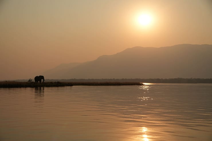 Lower Zambezi Nationalpark - Game drive Lower Zambezi Nationalpark 7 1