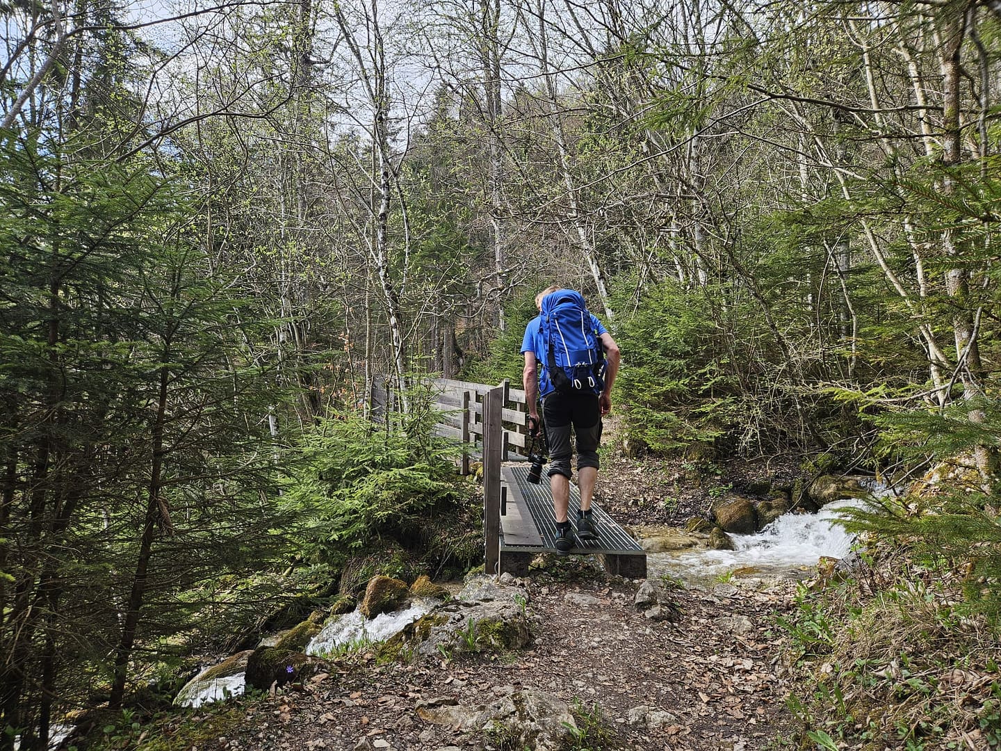 Pletzachkogel 1.544 (Wanderung) Pletzachkogel 1.544 Wanderung 7