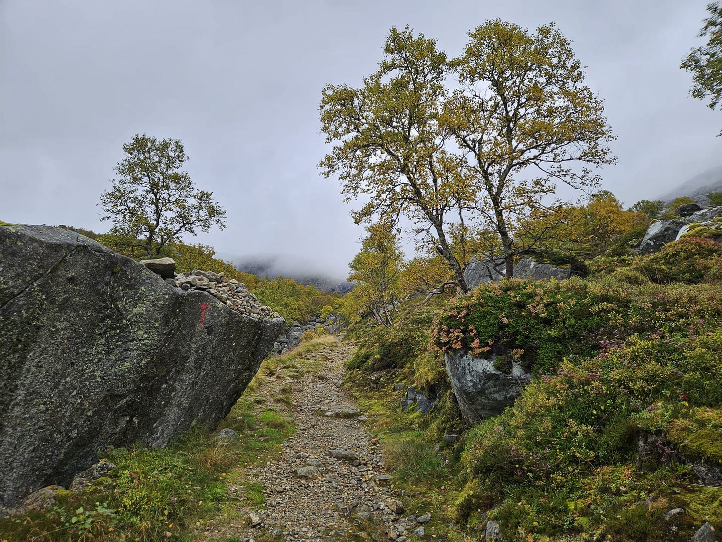 Bondhusdalen (Wanderung) WhatsApp Image 2026 10 14 at 08.46.19 9