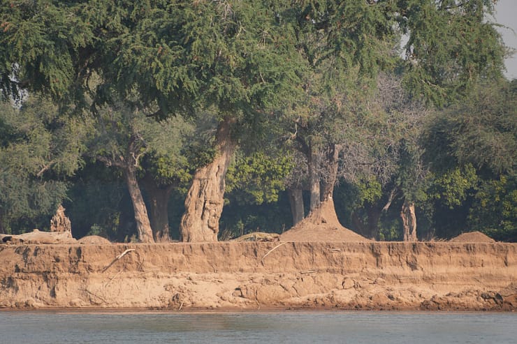 Lower Zambezi Nationalpark - Game drive Lower Zambezi Nationalpark 33