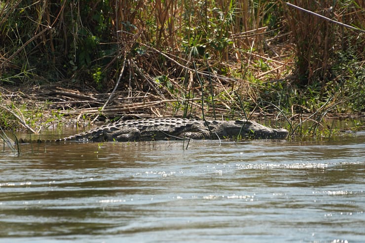 Lower Zambezi Nationalpark - Game drive Lower Zambezi Nationalpark 36