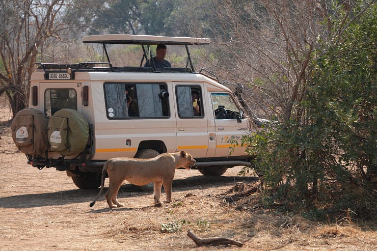 Lower Zambezi Nationalpark - Game drive Lower Zambezi Nationalpark 42