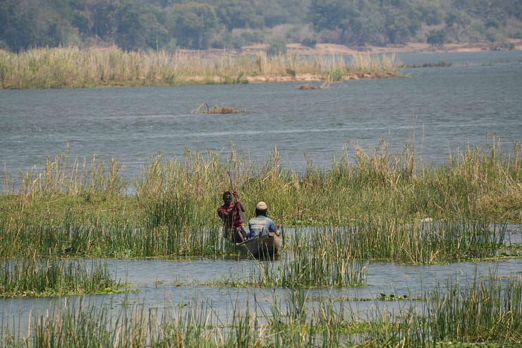 Lower Zambezi Nationalpark - Game drive Lower Zambezi Nationalpark 1 1